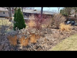 Early April Garden Tour, Minnesota Zone 5a