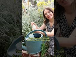 De l'or liquide pour vos plantes !