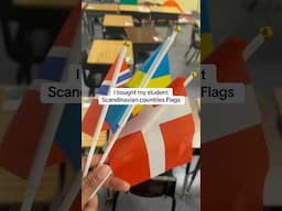 I bought my student Scandinavian countries Flags #NordicTok #ScandinavianCulture #shorts