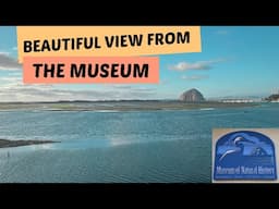 MORRO BAY MUSEUM OF NATURAL HISTORY II A FUN AND EDUCATIONAL MUSEUM IN A STATE PARK