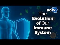 CARTA: The Evolution of Powerful Yet Perilous Immune Systems