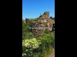 Ireland in NYC