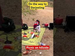 Darjeeling hillside Picnic | North East road trip #darjeeling #gangtok #viralvideo #roadtrip