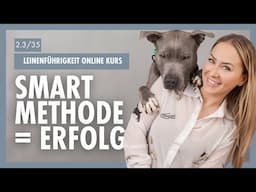 Geheimwaffe SMART Methode! | So erreichst du JEDES Hunde-Ziel | Tag 2/3