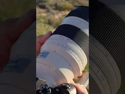🔥 Sony 50-150mm F2 GM is INSANE!