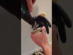 How Not to Change a Receptacle | Outlet ( But You’ll Probably Try It Anyway ) #electricitysafety