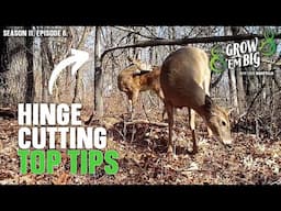 Hinge-Cutting Tips for Better Deer Hunting