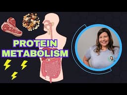 Protein Metabolism: How Your Body Uses Protein for Energy & Growth