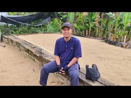 infonya gedung walet ini sudah ada isinya tapi stagnan, simak penyebab nya di video selanjutnya 👍