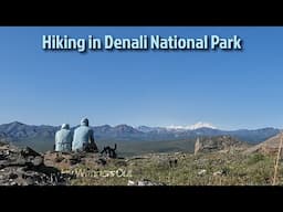 Hiking The Savage Alpine Trail in Denali National Park, Alaska!