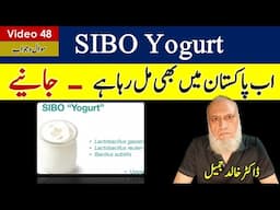 SIBO Yogurt now available in Pakistan  | video 48
