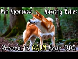My Anxious Dog Relaxed Immediately Watching This – I Couldn't Believe It Worked