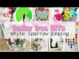 👉 MUST SEE!! MYSTERY BOX CHALLENGE | DOLLAR TREE DIYS FOR SPRING