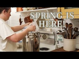 Prepping For Spring Day In The Life