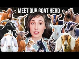 Every Goat We've Ever Loved 🐐 (and Who's Still With Us)