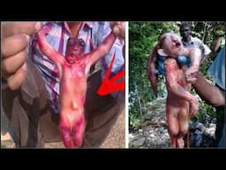 20 Criaturas Extrañas Capturados En Bosques Y Selvas