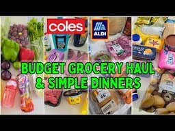 Budget Grocery Haul and Budget Dinners