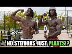 BUILD MUSCLE WITH VEGAN PLANT-BASED DIET (HERES HOW)