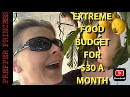 Extreme Food Budget For $30 a MONTH! (No food banks, no food stamps, no help)
