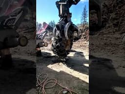 No Tire is Too Big Anymore!
