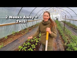 I Abandoned My Garden and I'd Do It Again | Reclaiming My Wild High Tunnel and My Life