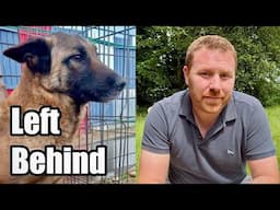 I don't ask for much... but this one's important 🐾 💔 🕊️