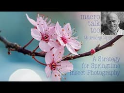 Spring Strategy -  Macro Talk Too #137 - 4/10/25