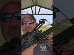 Ballista BAT Reverse Draw Mini Crossbow @ballista.archery #archery #hunting #outdoors