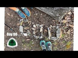 Appalachian Trail Thru Hike 2025 | Day 60 | 600 Miles!