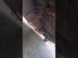 1957 Chevy: DEAL or DISASTER?We showed up ready to buy… until we looked underneath.
