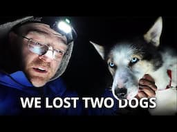 Dog Sledding Nightmare | Two Dogs Vanished in the Night