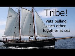 TRIBE  Turn to Starboard