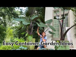 CONTAINER GARDEN Ideas & Inspiration