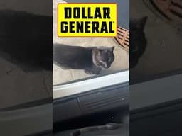 Dollar General penny haul 06/10/25 #shopwithme