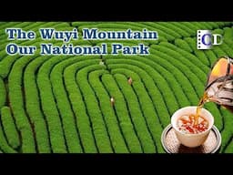 The world's earliest black tea was produced in Wuyi Mountains | China Documentary