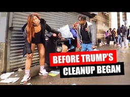 Kensington 2023-2024. Before Trump’s Cleanup Began