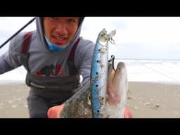 Don't Make This MISTAKE Surf Fishing the California Coast