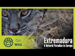 Extremadura: A Natural Paradise in Europe | Go Wild