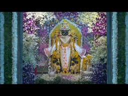 Live : Shree Dwarkadhish Jagad Mandir Dwarka | dwarkadhish live darshan | Studio Avsar