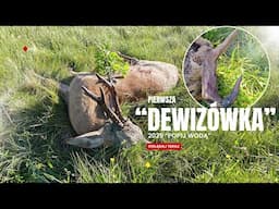 Pierwsza rogaczowa "Dewizówka" 2025