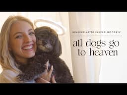 Coping with Pet Loss: Healing After Saying Goodbye