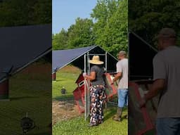 Couples morning chores…#chicken #homestead #shorts #shortsvideo #spring #summer #trending #viral