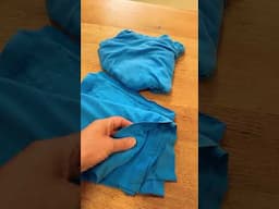 Cutting up old T-shirts for rags. It's ok to admit defeat. #frugality