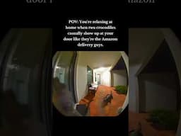 I don't know where this was, but I'd bet it was somewhere in Florida🤣  #ringcamera