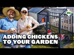 We Built the Ultimate Starter Garden and Smart Chicken Coop