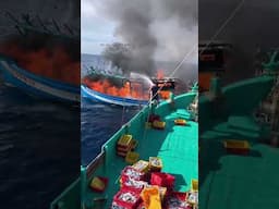 Bất Lực Thật Rồi Bao Nhiêu Năm Tích Góp , Mà Giờ Nhìn Nó Cháy Từ Từ  , Chìm Từ Từ Mà Chẳn Cứu Được