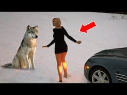 The Girl Was Thrown into the Dark Forest to Hungry Animals. And Then She Met a Wolf