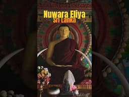 Buddha temple in Nuwara Eliya #nuwaraeliya #srilanka