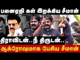 Seeman Speech | பனைஏறி கள் இறக்கிய சீமான் | திராவிடன்.. நீ திருடன் | DMK | NTK | Stalin | The Debate