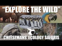 Explore the Wild with Cheesemans' Ecology Safaris | Wildlife Adventures That Matter